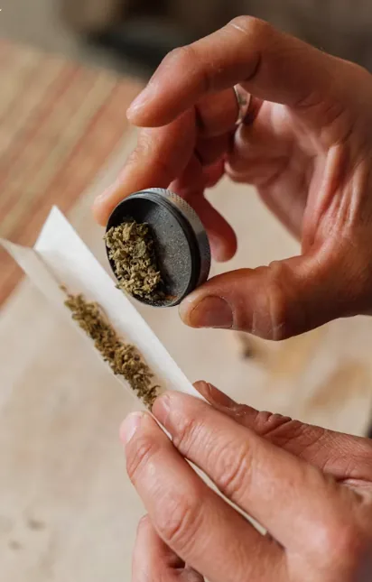Adult hands carefully preparing a rolled cannabis product