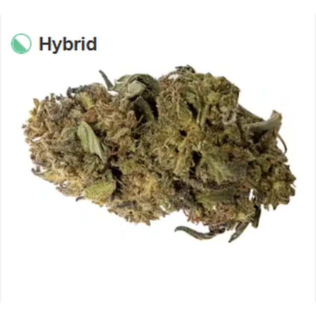 Premium CBD Flower 3.5g Dried Flower product reference
