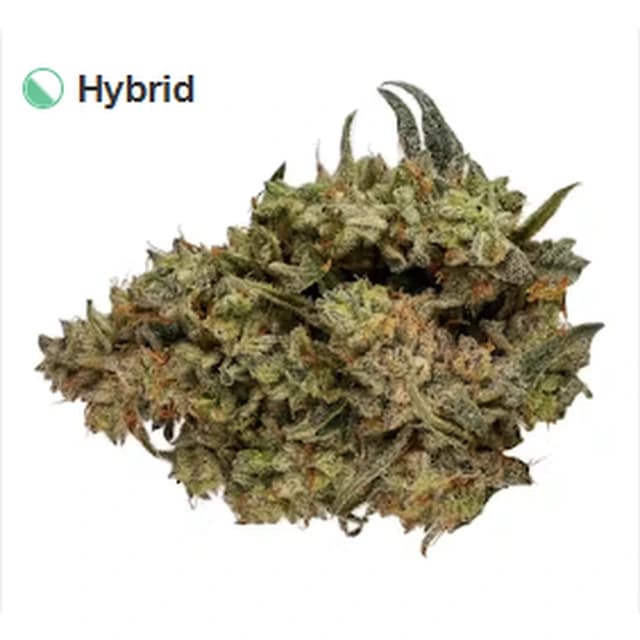 CBD Runtz 3.5g Dried Flower product reference