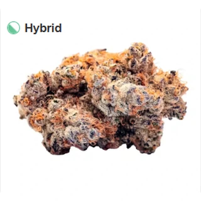 Sunset Sherbet — Michigan Top Shelf product reference