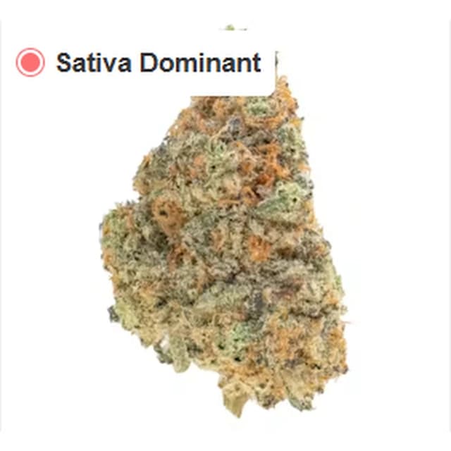 Banana Runtz — Michigan Top Shelf product reference