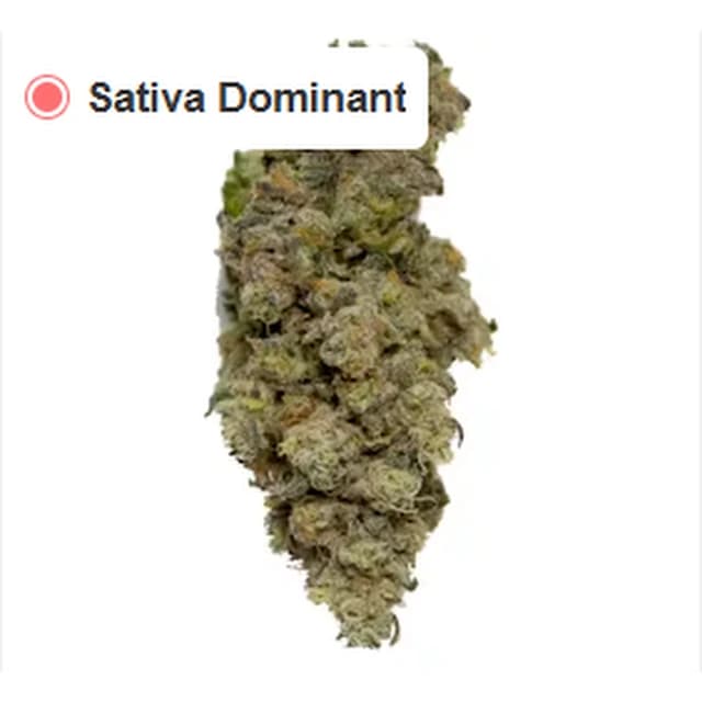Mimosa — Michigan Top Shelf product reference