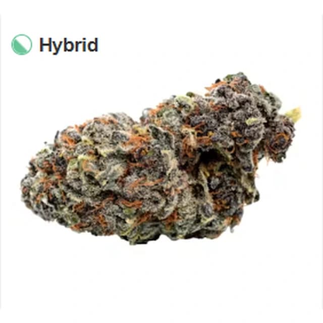 Purple Punch — Michigan Top Shelf product reference