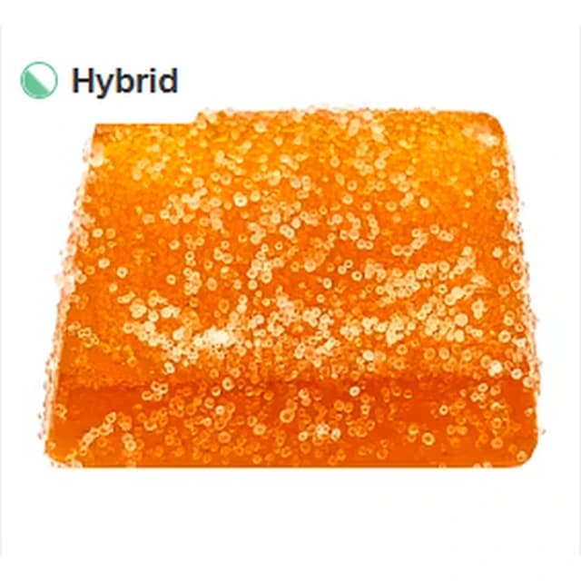 TenTen Caribbean Chill Live Rosin Gummy 1 Pa… product reference