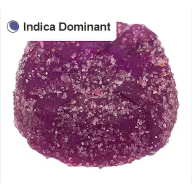 10X The Madness The Sour Purple One - Live… product reference