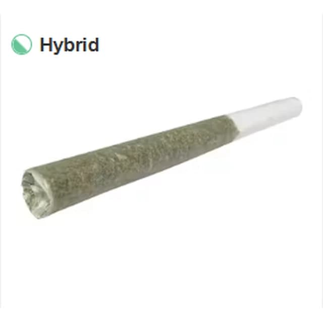 Blueberry Pie Pre-Roll 1g product reference