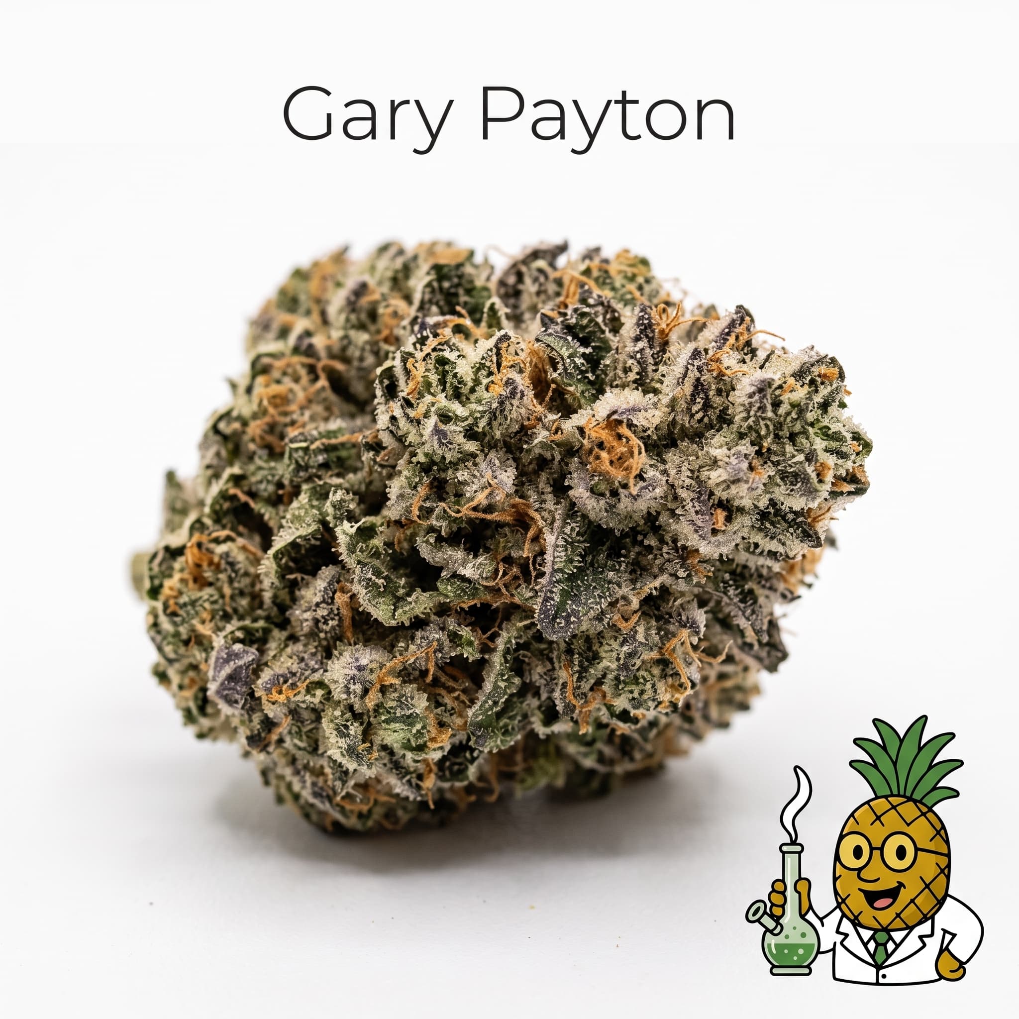 Gary Payton — #4 Most Popular 2026 product reference