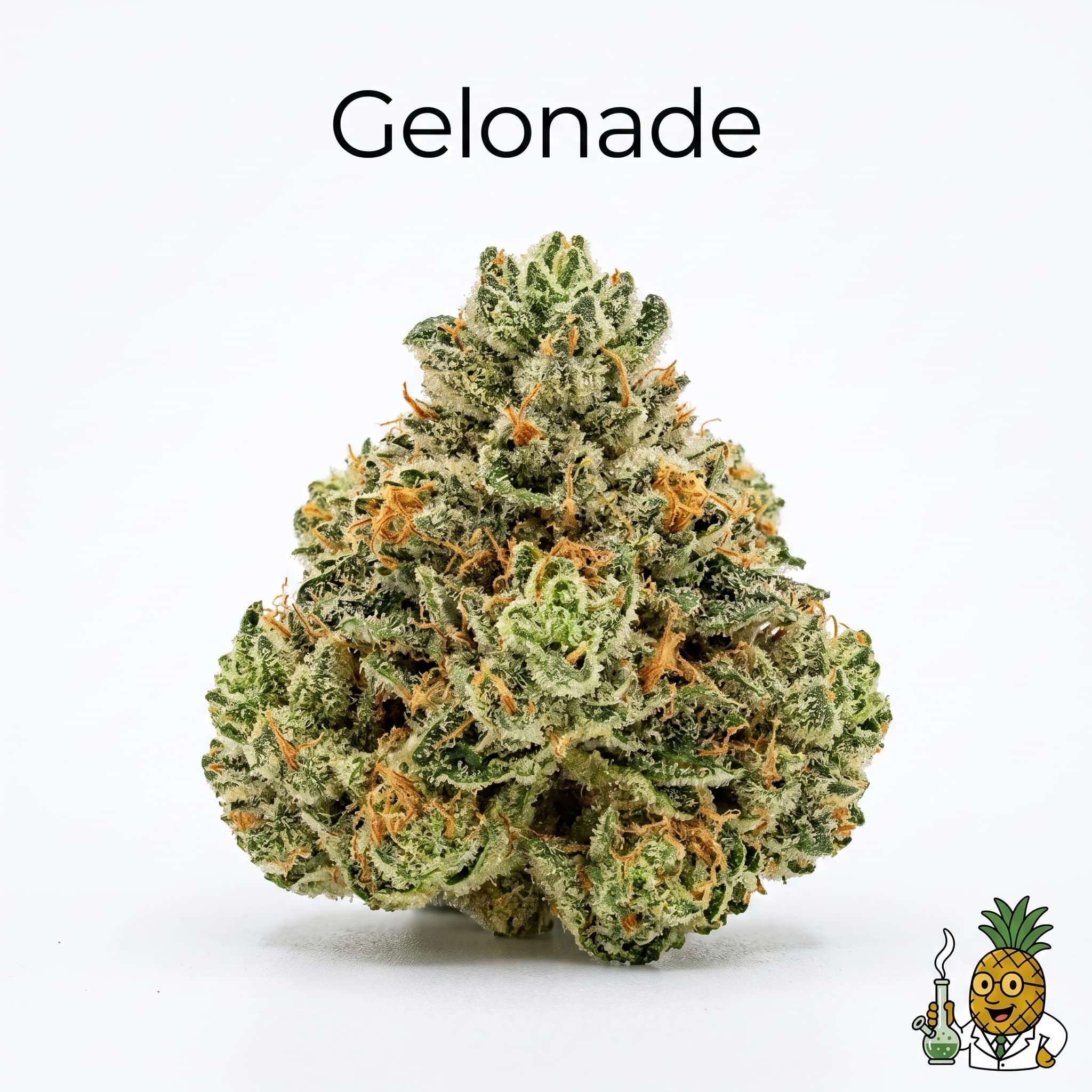 Gelonade — #17 Most Popular 2026 product reference