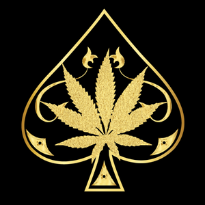 Ace Ultra Premium